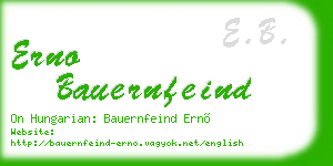 erno bauernfeind business card